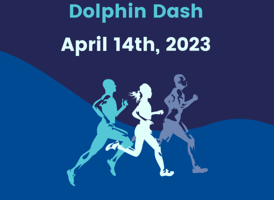 Image of Dolphin Dash Flyer